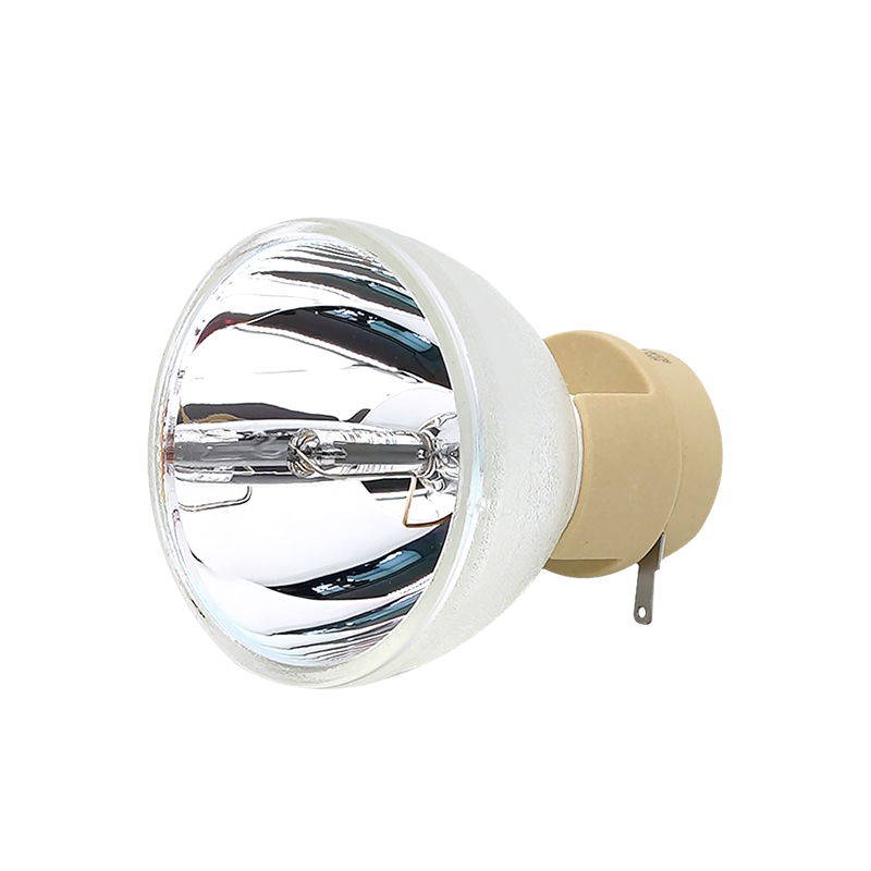 Projector Bulb