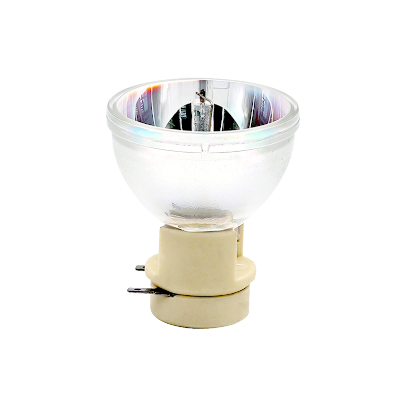 E20.8 Projector Bare Lamp